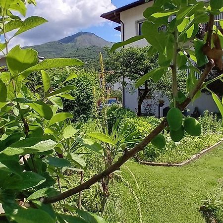 Appartment Lodged Mamma Maria Mattarello Экстерьер фото