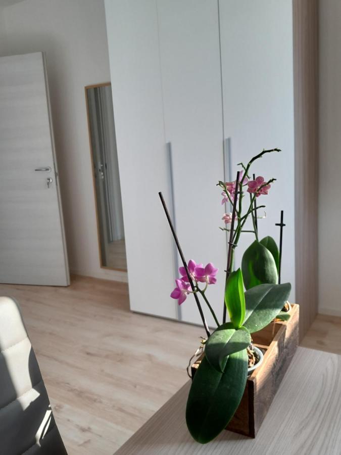 Appartment Lodged Mamma Maria Mattarello Экстерьер фото