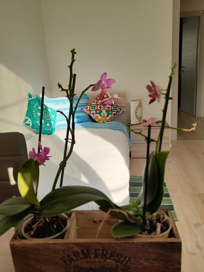 Appartment Lodged Mamma Maria Mattarello Экстерьер фото