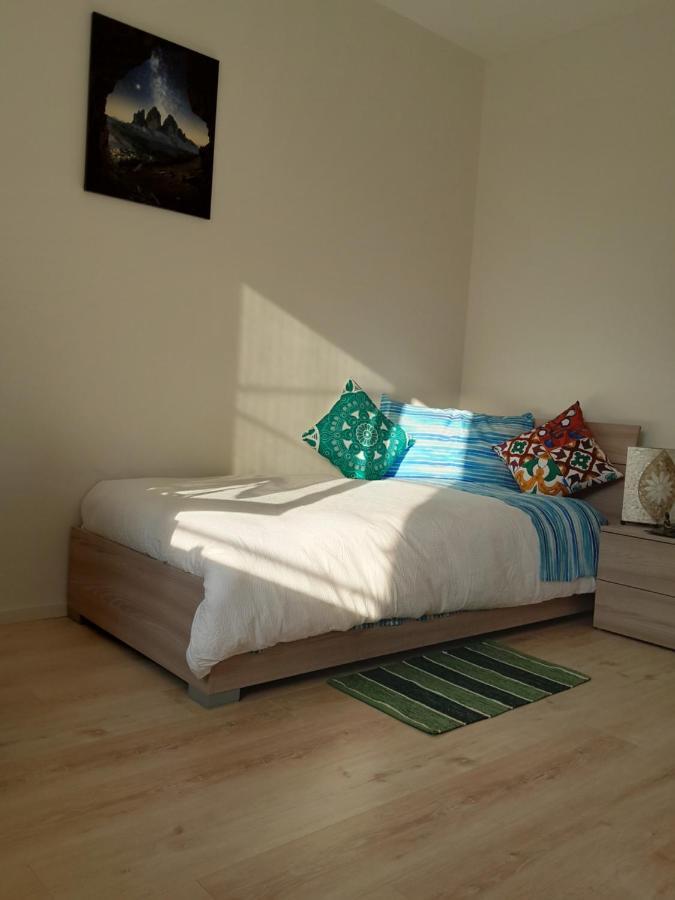 Appartment Lodged Mamma Maria Mattarello Экстерьер фото