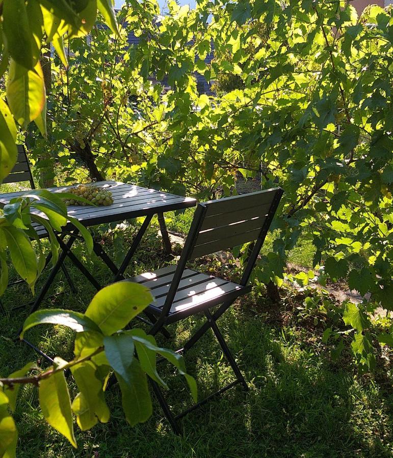Appartment Lodged Mamma Maria Mattarello Экстерьер фото