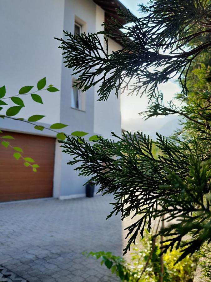 Appartment Lodged Mamma Maria Mattarello Экстерьер фото