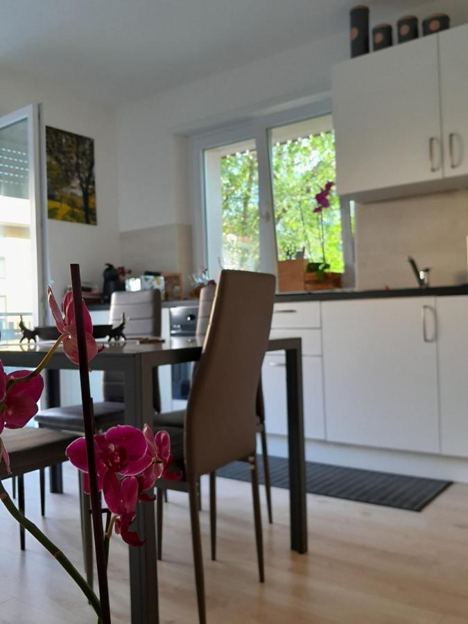 Appartment Lodged Mamma Maria Mattarello Экстерьер фото