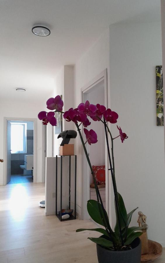 Appartment Lodged Mamma Maria Mattarello Экстерьер фото