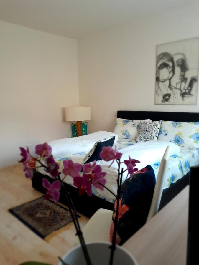Appartment Lodged Mamma Maria Mattarello Экстерьер фото