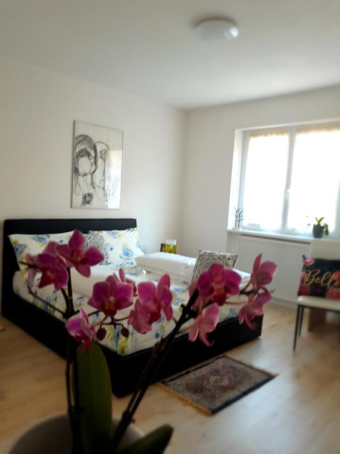 Appartment Lodged Mamma Maria Mattarello Экстерьер фото