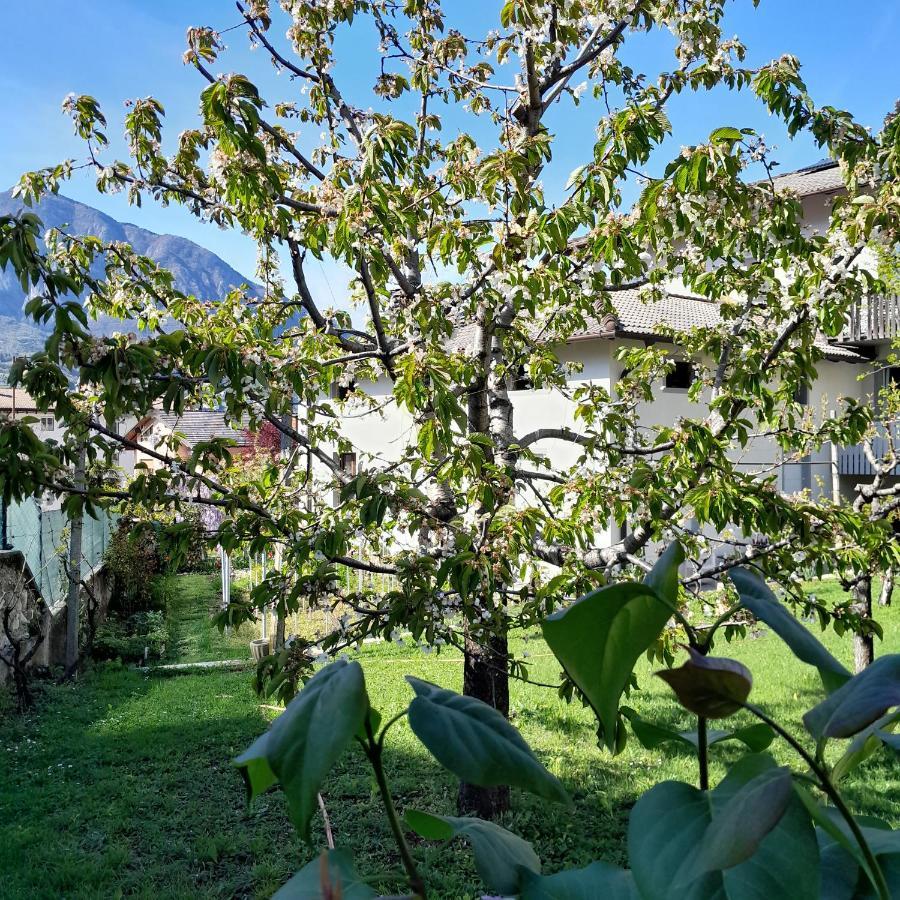 Appartment Lodged Mamma Maria Mattarello Экстерьер фото