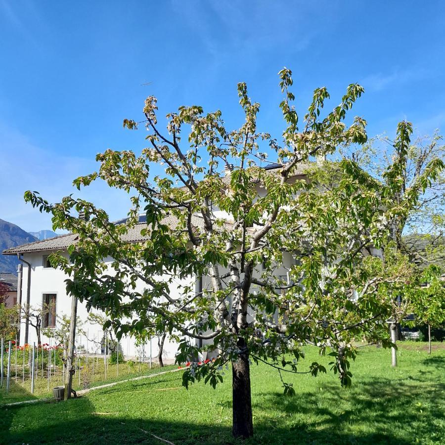 Appartment Lodged Mamma Maria Mattarello Экстерьер фото