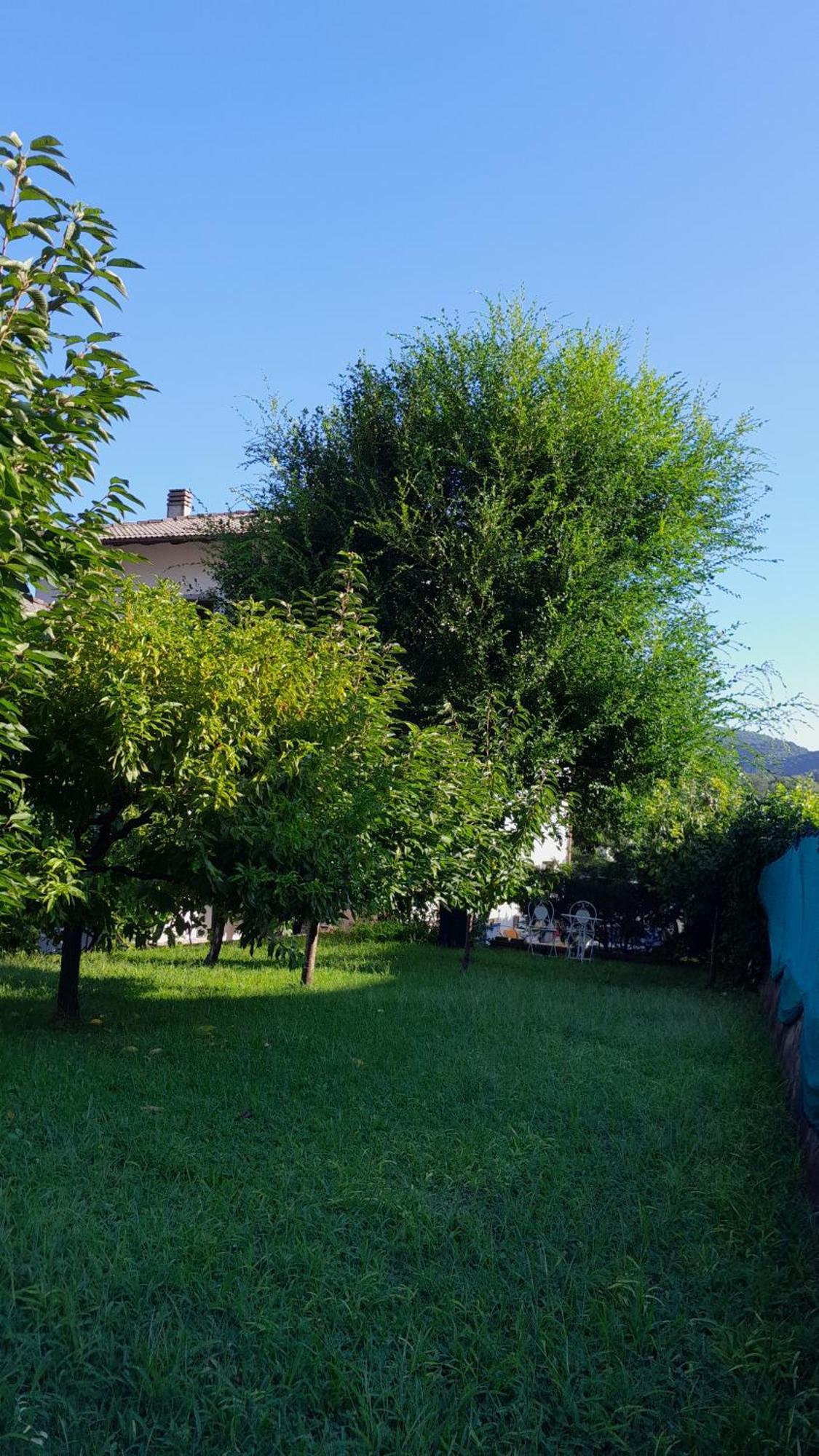 Appartment Lodged Mamma Maria Mattarello Экстерьер фото