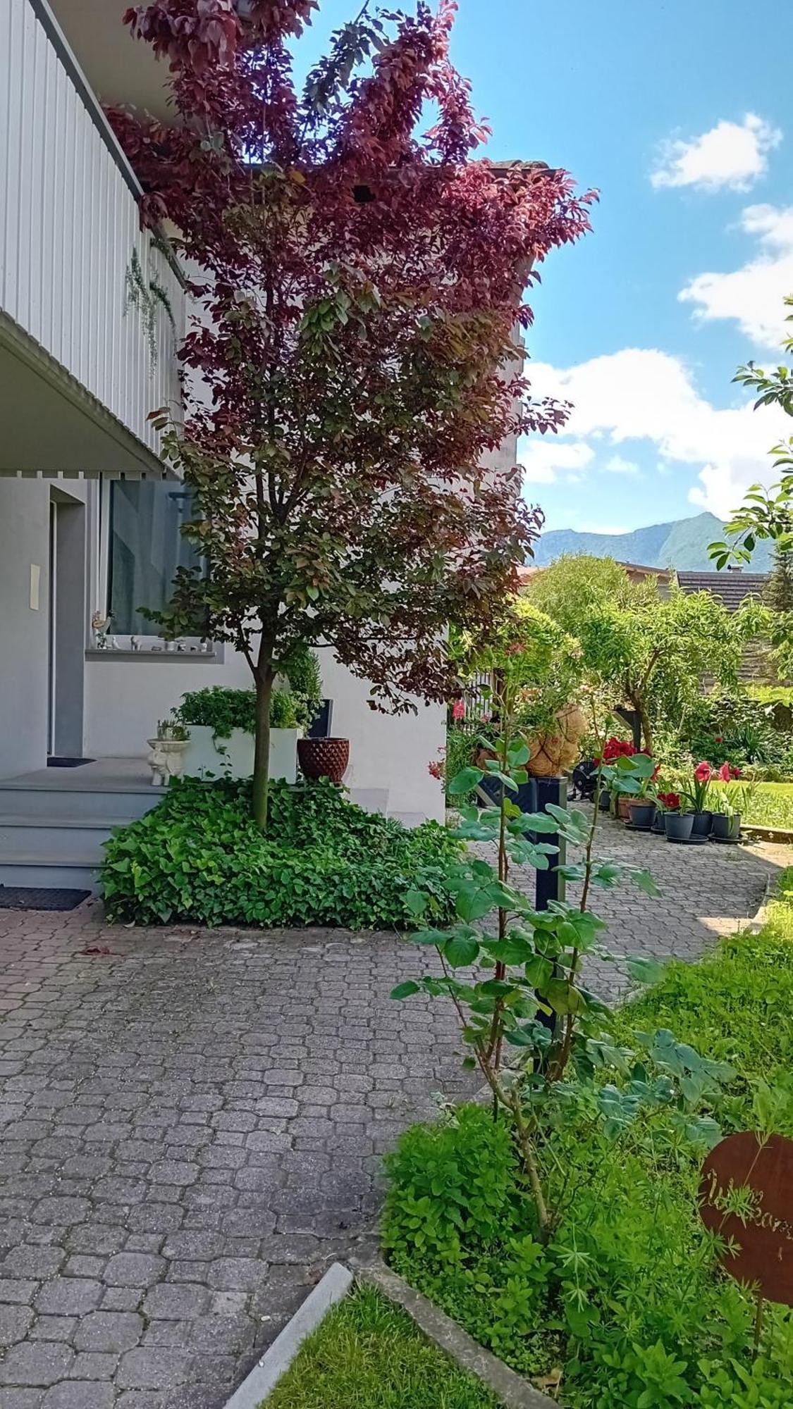 Appartment Lodged Mamma Maria Mattarello Экстерьер фото